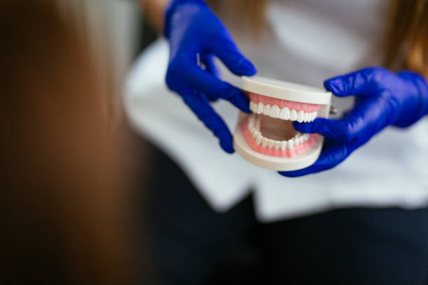 Reliable Whittingham, NJ  Holistic Dental Services Solutions